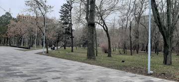 https://upforme.ru/uploads/001b/09/4d/4/t820503.jpg