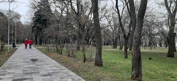 https://upforme.ru/uploads/001b/09/4d/4/t875258.jpg