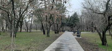https://upforme.ru/uploads/001b/09/4d/4/t876698.jpg