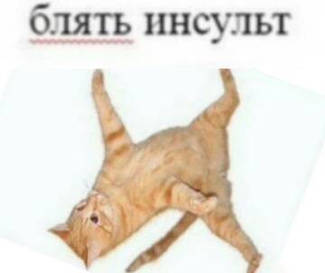 https://upforme.ru/uploads/001b/09/fd/4/t356822.jpg