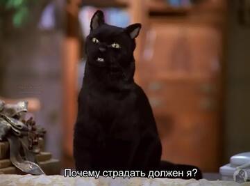 https://upforme.ru/uploads/001b/0a/8d/1060/t81504.jpg