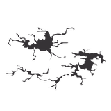 https://upforme.ru/uploads/001b/0a/8d/1108/t595896.png