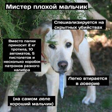 https://upforme.ru/uploads/001b/0a/8d/146/t447017.jpg