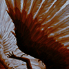 https://upforme.ru/uploads/001b/0a/8d/208/849613.png