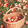 https://upforme.ru/uploads/001b/0a/8d/208/891549.png