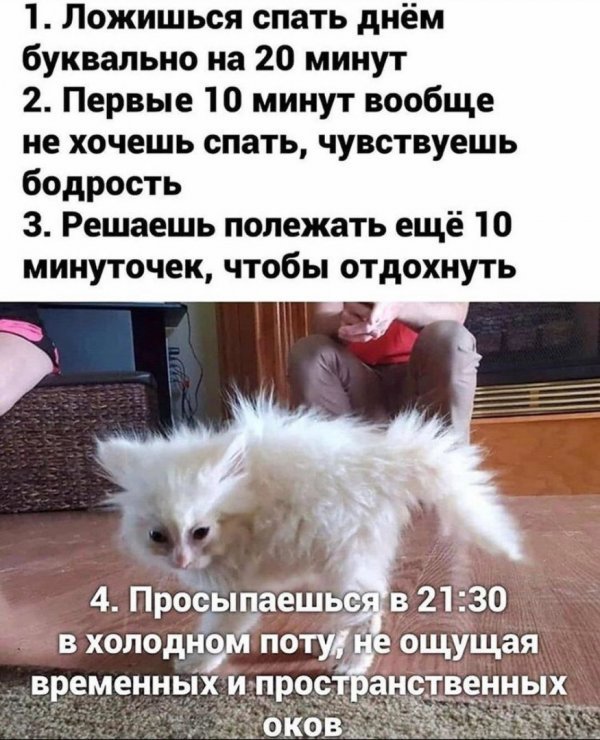 https://upforme.ru/uploads/001b/0a/8d/33/205422.jpg