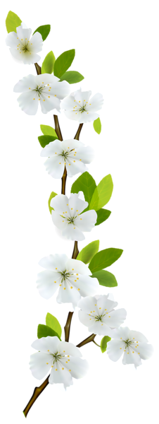 https://upforme.ru/uploads/001b/0a/8d/580/t347213.png