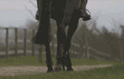 https://upforme.ru/uploads/001b/0a/8d/60/t318215.gif