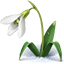 https://upforme.ru/uploads/001b/0b/1d/3/476517.png