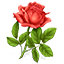 https://upforme.ru/uploads/001b/0b/1d/3/591167.png