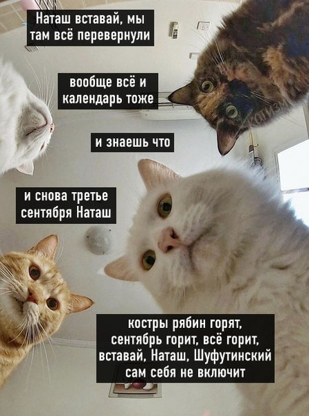 https://upforme.ru/uploads/001b/0d/69/49/675257.jpg
