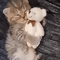 https://upforme.ru/uploads/001b/0f/31/2/119704.gif
