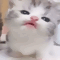https://upforme.ru/uploads/001b/0f/31/2/356021.gif