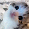 https://upforme.ru/uploads/001b/0f/31/2/390445.gif