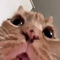 https://upforme.ru/uploads/001b/0f/31/2/79638.gif