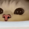 https://upforme.ru/uploads/001b/0f/31/2/968098.gif