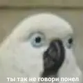 https://upforme.ru/uploads/001b/0f/75/52/t190172.webp