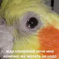 https://upforme.ru/uploads/001b/0f/75/52/t279514.webp