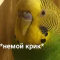 https://upforme.ru/uploads/001b/0f/75/52/t64609.webp