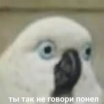https://upforme.ru/uploads/001b/0f/75/52/t816612.webp