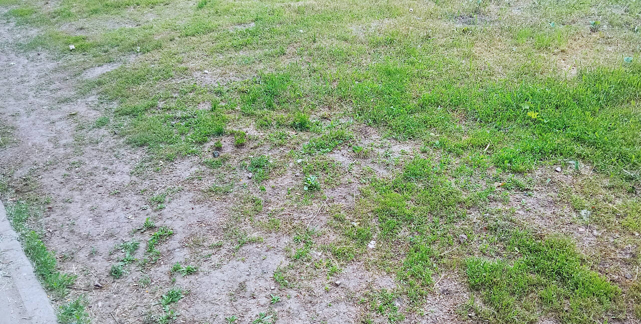 ��� �����? #3