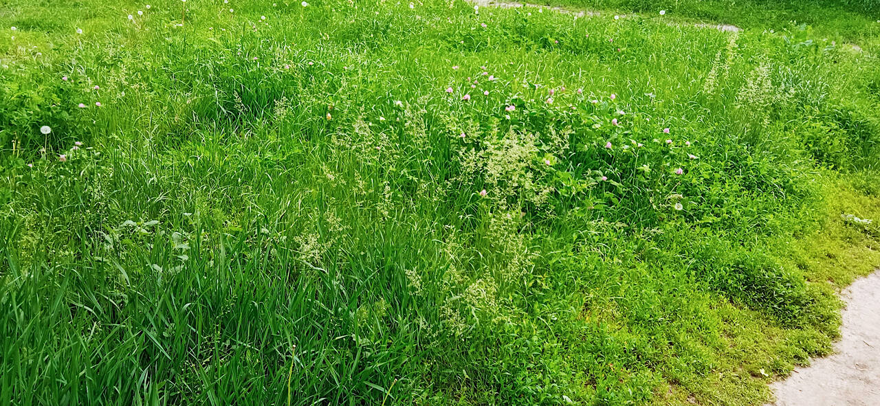 ��� �����? #3