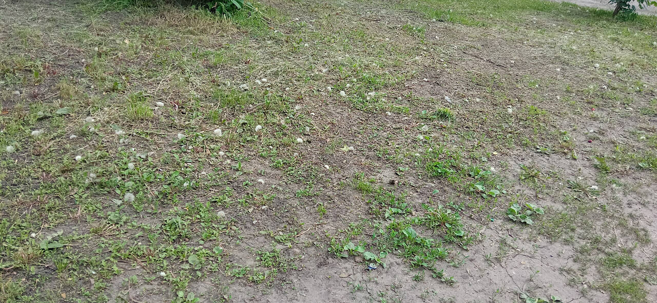 ��� �����? #3