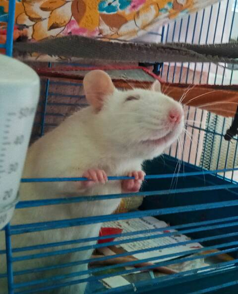 ��� �����? #6