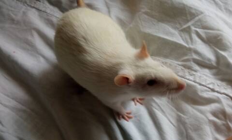 ��� �����? #6