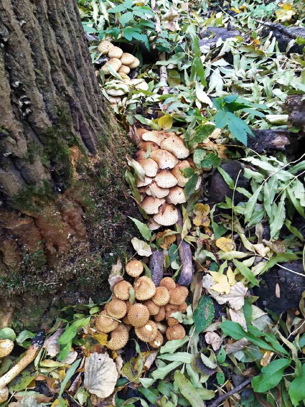  ? #7