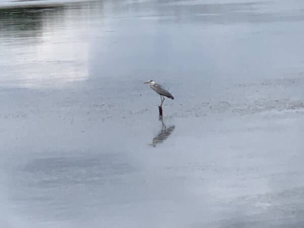 ? #3