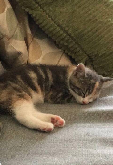 ��� �����? #6