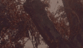 https://upforme.ru/uploads/001b/13/b6/121/711238.gif