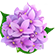 https://upforme.ru/uploads/001b/14/3c/2/758633.png
