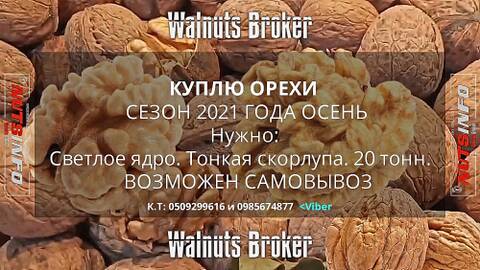 https://upforme.ru/uploads/001b/15/af/2/t531850.jpg