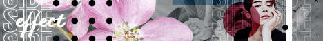 https://upforme.ru/uploads/001b/16/97/6/146442.jpg