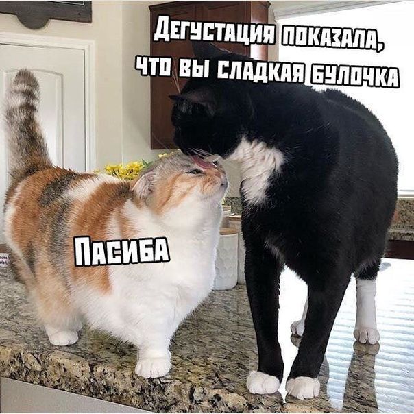 https://upforme.ru/uploads/001b/17/00/5/13564.jpg