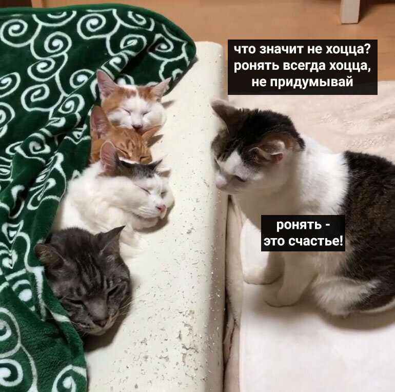 https://upforme.ru/uploads/001b/17/00/5/323865.jpg