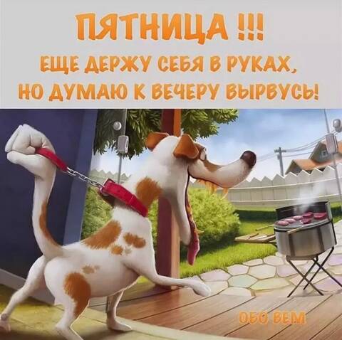 https://upforme.ru/uploads/001b/17/05/12/t95096.jpg