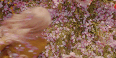 https://upforme.ru/uploads/001b/19/32/3/298758.gif