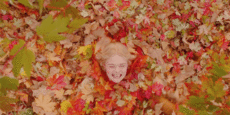 https://upforme.ru/uploads/001b/19/32/3/707411.gif