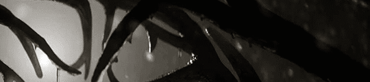 https://upforme.ru/uploads/001b/19/fa/2/814706.gif