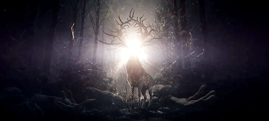 https://upforme.ru/uploads/001b/19/fa/2/943185.gif