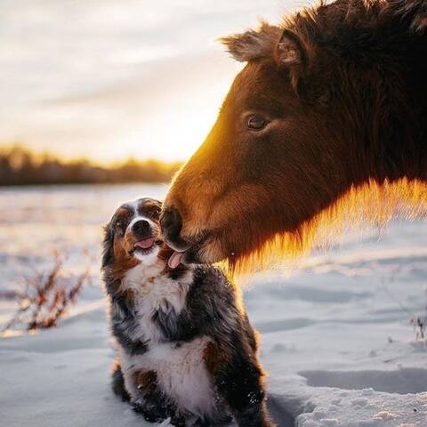 https://upforme.ru/uploads/001b/24/84/6/t120063.jpg