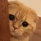 https://upforme.ru/uploads/001b/25/aa/2/767993.png