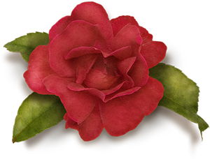 https://upforme.ru/uploads/001b/29/fe/2/191481.png