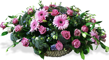 https://upforme.ru/uploads/001b/29/fe/2/t517044.png