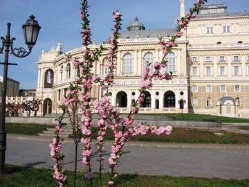 https://upforme.ru/uploads/001b/29/fe/3/t362972.jpg