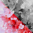 https://upforme.ru/uploads/001b/2a/da/2301/785481.png