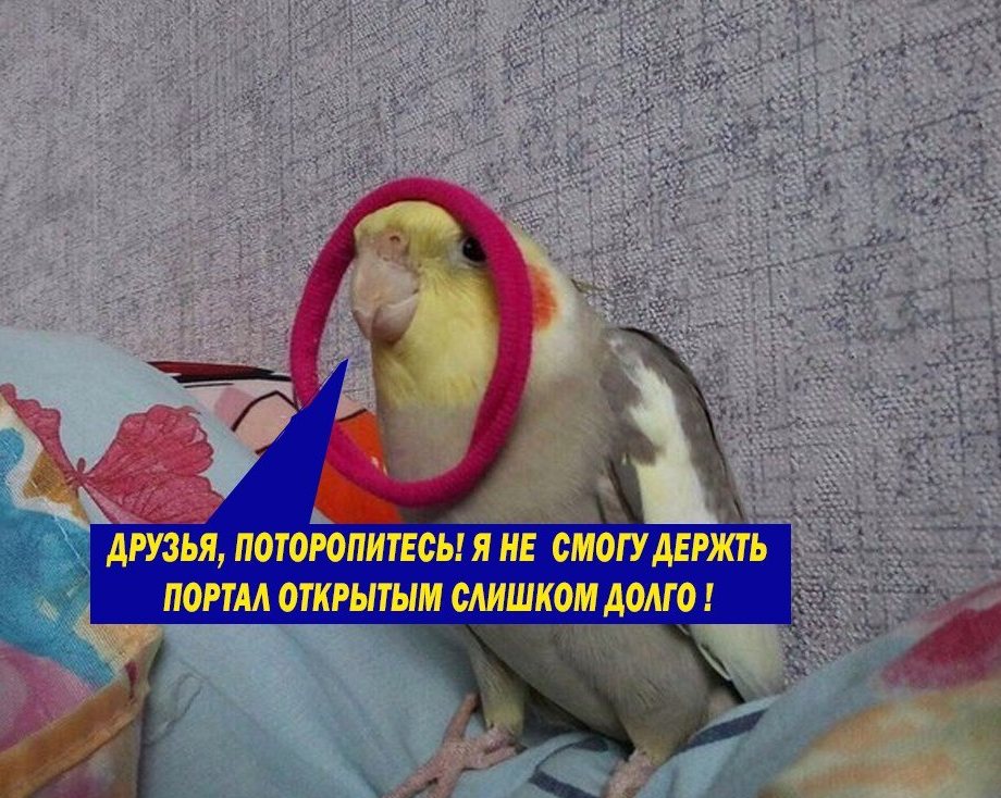 https://upforme.ru/uploads/001b/2a/fc/14/164343.png
